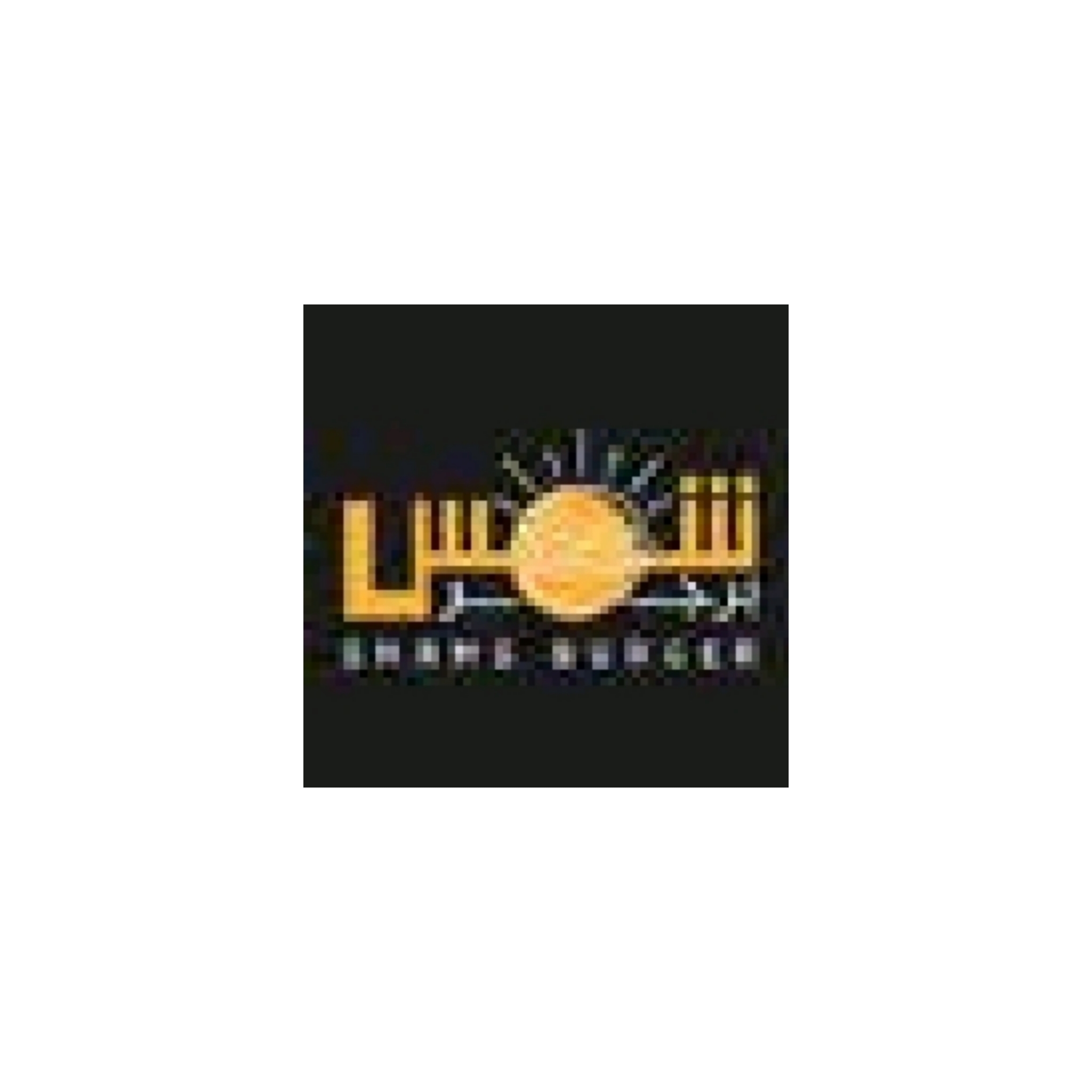 Client Logo 13